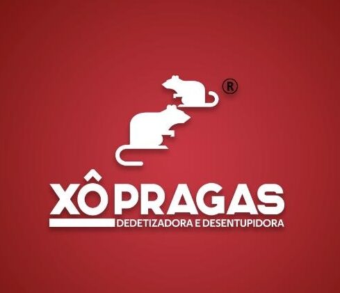 My Blog